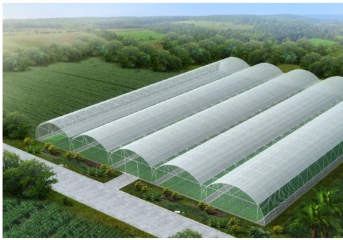 Greenhouse Designs: A Comprehensive Overview